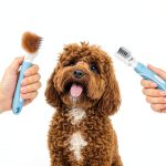 LovinPup Dematting Comb Stainless Steel Teeth Pet Grooming-0