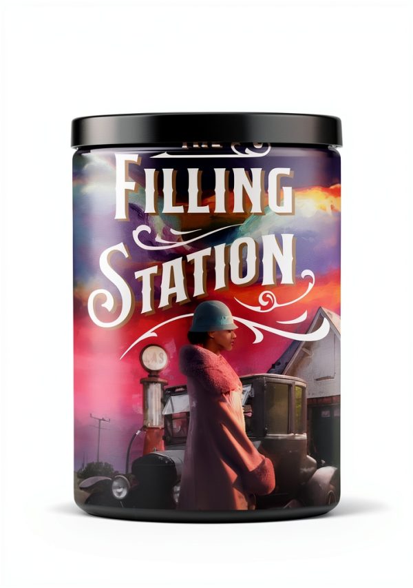 Kindle eBook Thomas Nelson Fiction 383 pages-0