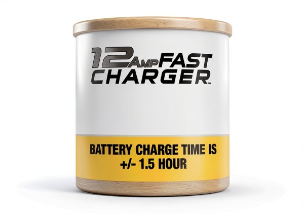 DEWALT Battery Charger 20V Flexvolt Fast Charger DCB1112 Black Yellow-1